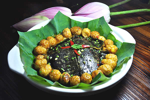 美食 美食