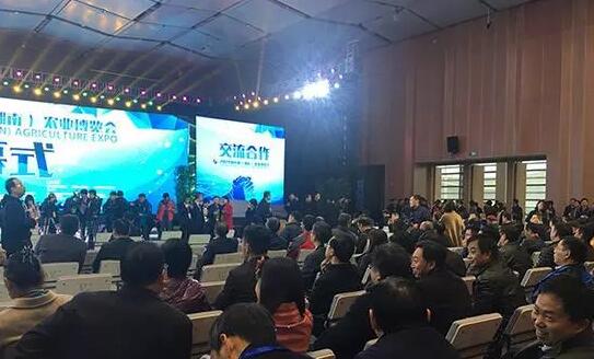 QQ截图20171128162447 QQ截图20171128162447
