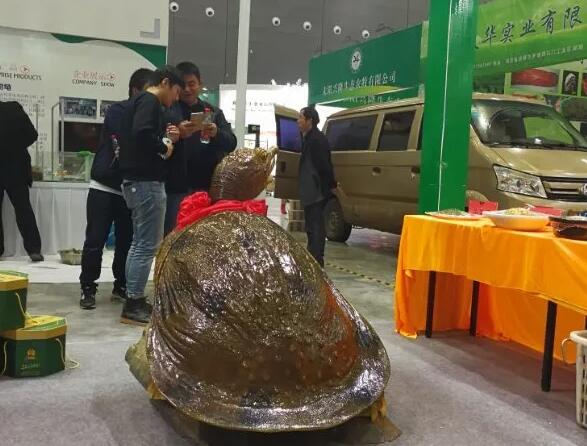 QQ截图20171128162528 QQ截图20171128162528