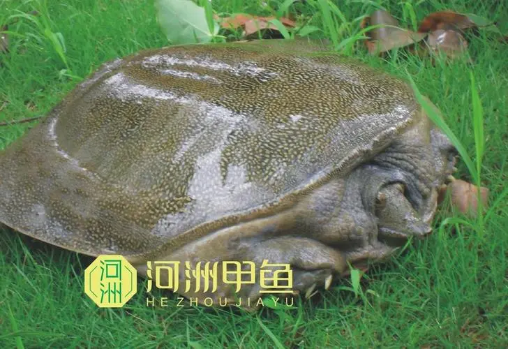 微信图片_20240425135819 微信图片_20240425135819