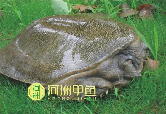 微信图片_20240425135819 微信图片_20240425135819