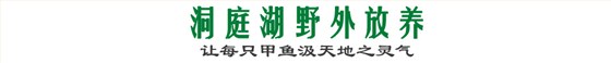 洞庭湖野外放养