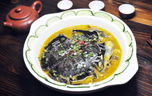 河洲家常甲鱼