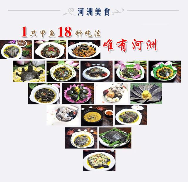 如何区分市面上的甲鱼是人工还是野生的?