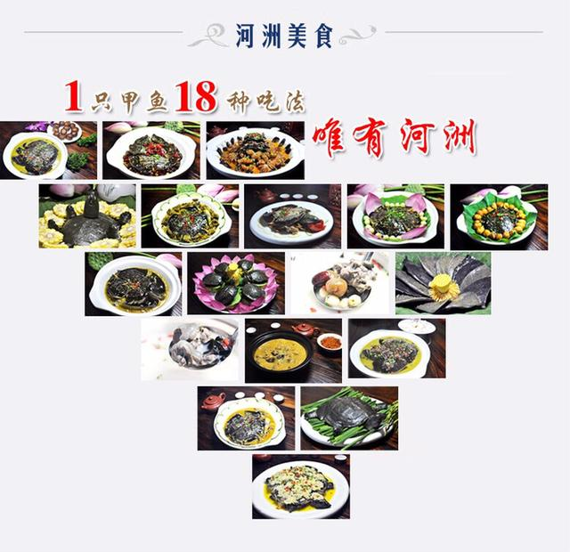 中华草龟和中华鳖的选择和饲料[三分钟前更新] 