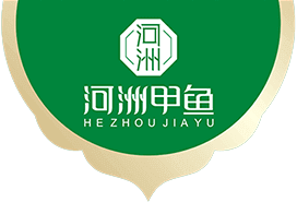 河洲甲鱼
