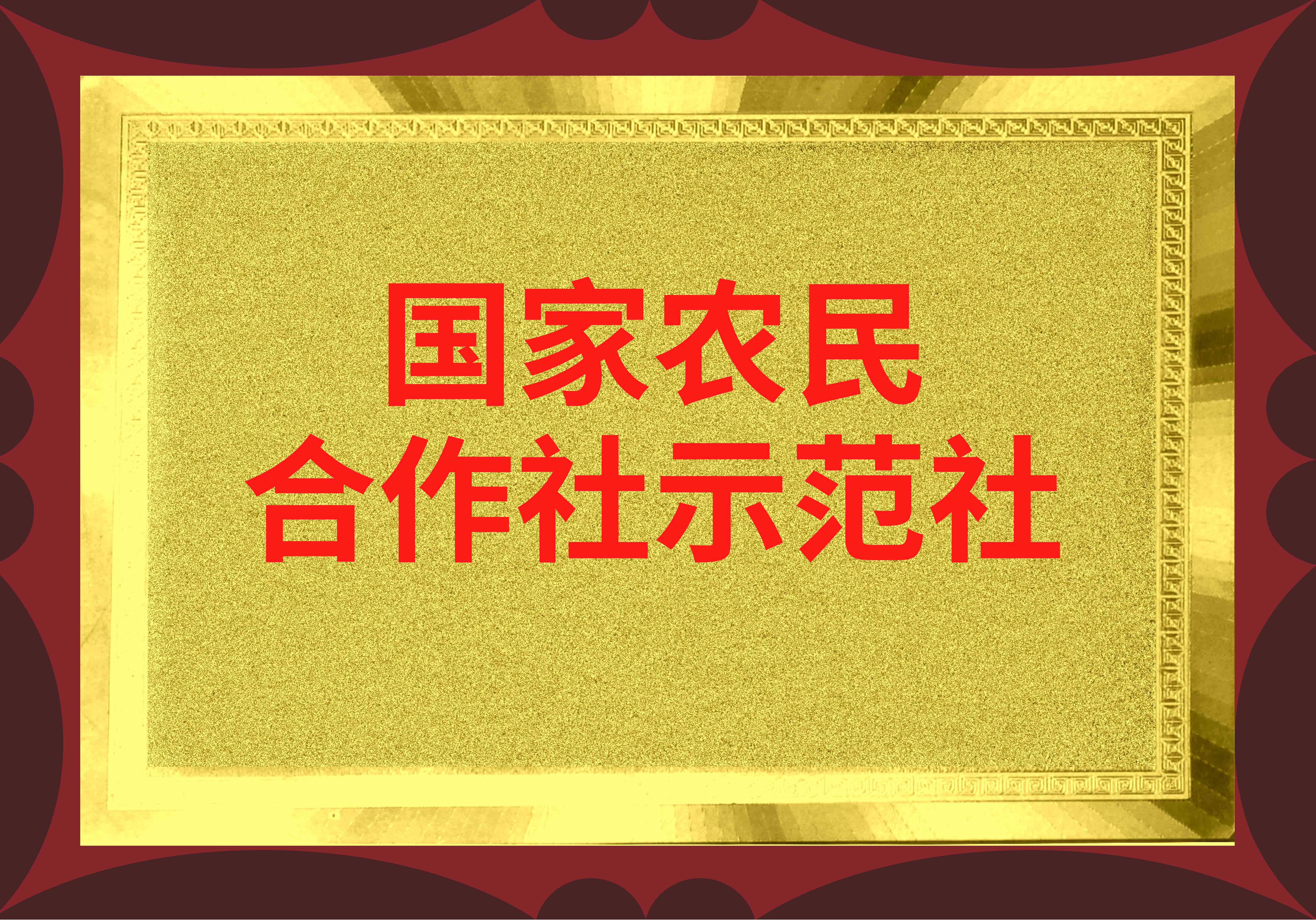 【国家农民专业合作社示范社】